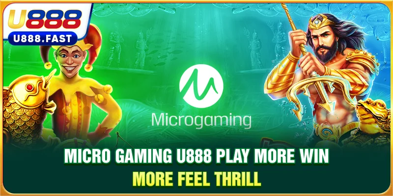 Micro Gaming
